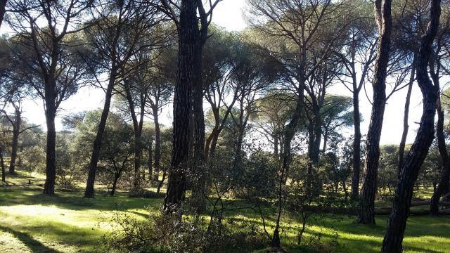 El Ayuntamiento comienza a trabajar en la adquisición del Monte de Pozuelo para ampliar el patrimonio verde municipal