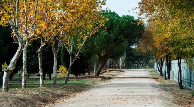 El Ayuntamiento invertirá más de 140.000 euros en el nuevo circuito biosaludable que unirá La Cabaña con la Avenida Juan Antonio Samaranch