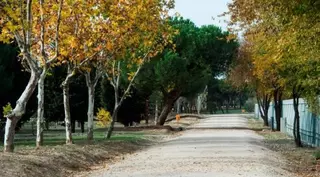 El Ayuntamiento invertirá más de 140.000 euros en el nuevo circuito biosaludable que unirá La Cabaña con la Avenida Juan Antonio Samaranch