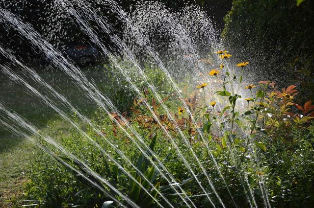 Pozuelo es la ciudad de la región con mayor superficie de zonas verdes públicas regadas con sistemas inteligentes