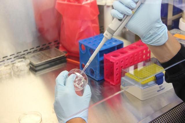 Alumnos de Pozuelo mejoran sus conocimientos científicos a través del programa “Experimentum”