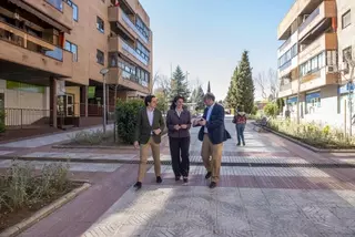 El Ayuntamiento de Pozuelo acondiciona los parterres de la calle París como zonas ajardinadas