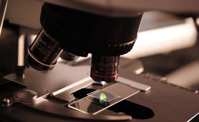 Estudiantes de Pozuelo mejoran sus conocimientos científicos a través del programa “Experimentum”