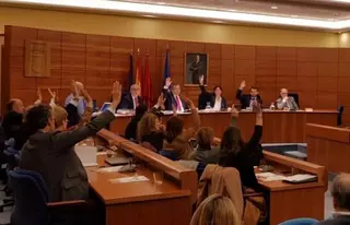 Somos Pozuelo: "PP, Ciudadanos y Vox impiden mejorar la educación pública en Pozuelo"