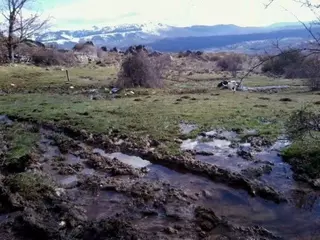 EQUO pide incluir a Pozuelo, Majadahonda y Las Rozas como zonas vulnerables por contaminación de nitratos 
