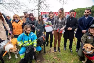 Pozuelo acoge la presentación del calendario solidario contra el abandono y por la adopción de mascotas