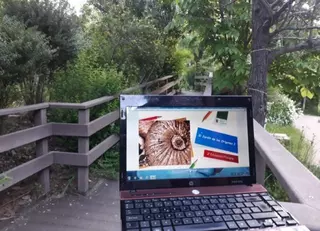 Las actividades del Aula de Educación Ambiental llegan en modo online a los escolares de Pozuelo