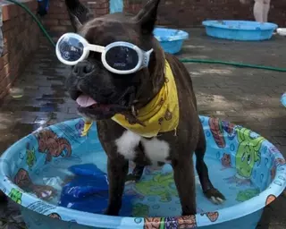 Las temperaturas máximas vuelven a subir