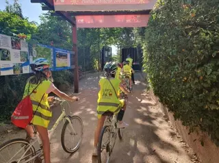 Más de 400 niños y jóvenes participan en Pozuelo en los campamentos municipales de verano, con restricciones
