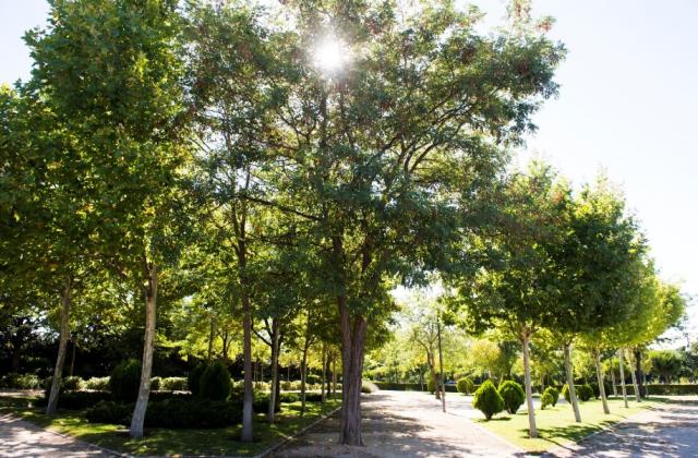 Pozuelo contará con un sistema de agua regenerada que servirá para la limpieza viaria y riego de zonas verdes