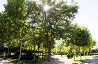 Pozuelo contará con un sistema de agua regenerada que servirá para la limpieza viaria y riego de zonas verdes
