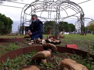 El Aula de Educación Ambiental de Pozuelo de Alarcón estrena un Consultorio Micológico
