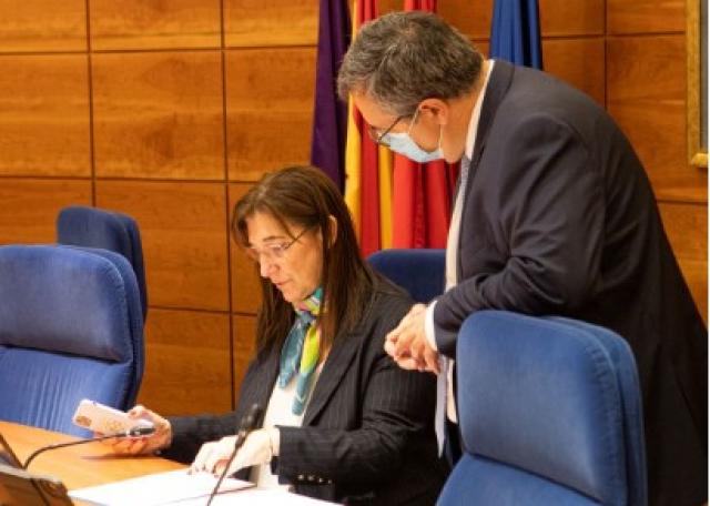 La reforma de la mediana de la Avd de Europa, la rehabilitación de La Estación y el soterramiento de la M-503, entre las inversiones para 2021