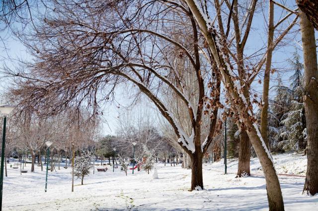 Cierre de parques en Pozuelo y suspensión de las actividades municipales