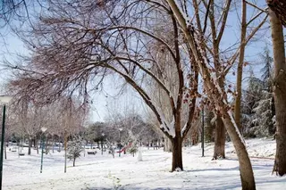 Cierre de parques en Pozuelo y suspensión de las actividades municipales