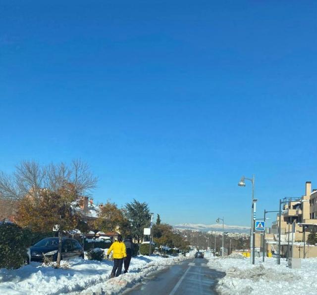 El Ayuntamiento mantendrá suspendidos los servicios municipales hasta el próximo lunes