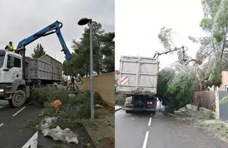 El Ayuntamiento intensifica las labores de recogida de restos de podas de ramas en mal estado
