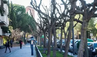 Se reanuda el Servicio de Estacionamiento Regulado en Pozuelo