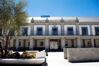 El Ayuntamiento habilita un servicio especial para la recogida extraordinaria de los restos de árboles afectados por Filomena