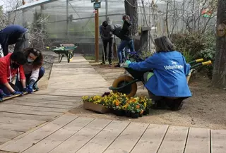 El Punto de Información al Voluntariado de Pozuelo continua con su programa de acciones