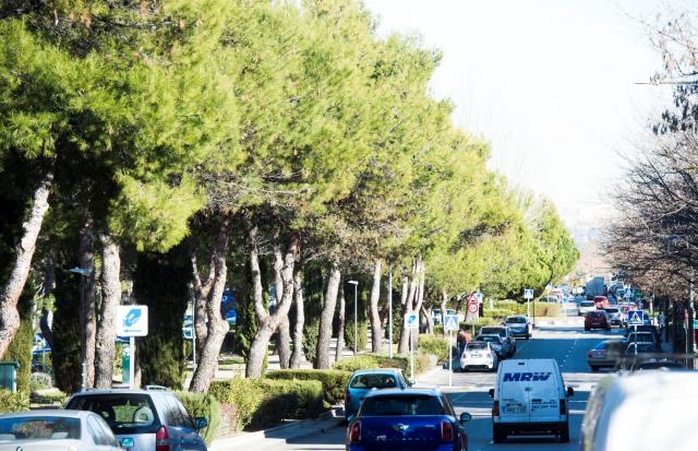 Pozuelo destina más de 54.000 euros a controlar las poblaciones de conejos, aves y jabalíes