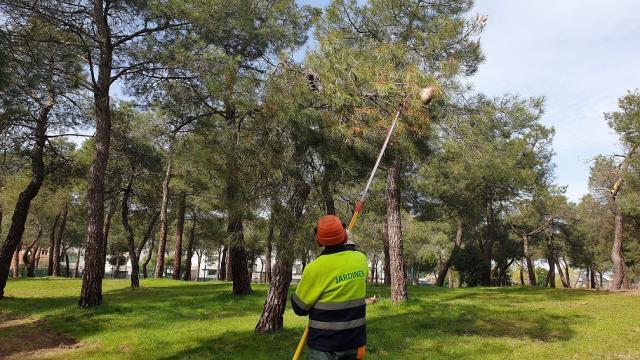 El Gobierno municipal continuará con el servicio integral de prevención y control de plagas