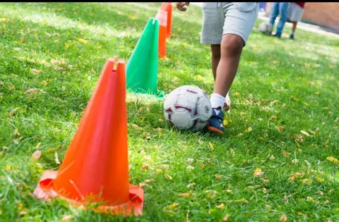 Las colonias de verano "Summer School" se desarrollarán en cinco colegios de Pozuelo