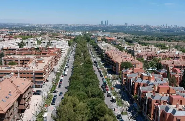 ¿Querías quedarte en Pozuelo y te tuviste que ir?
