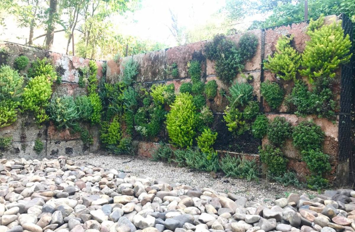 El Aula de Educación Ambiental de Pozuelo, referente en jardinería vertical 