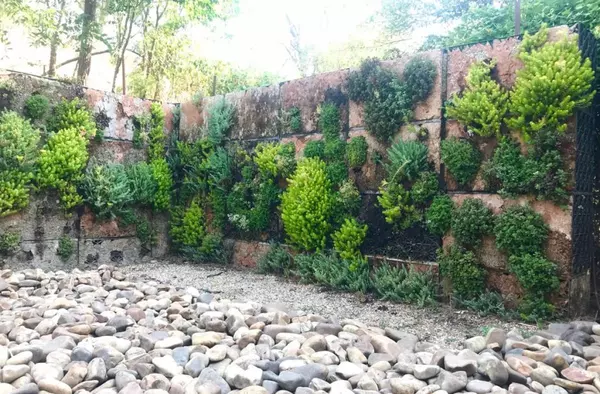 El Aula de Educación Ambiental de Pozuelo, referente en jardinería vertical 