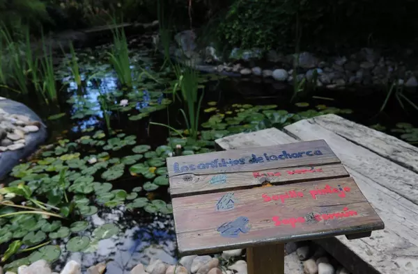 Aula Acuática, así es el nuevo proyecto de educación ambiental en Pozuelo sobre la fauna y flora del medio acuático