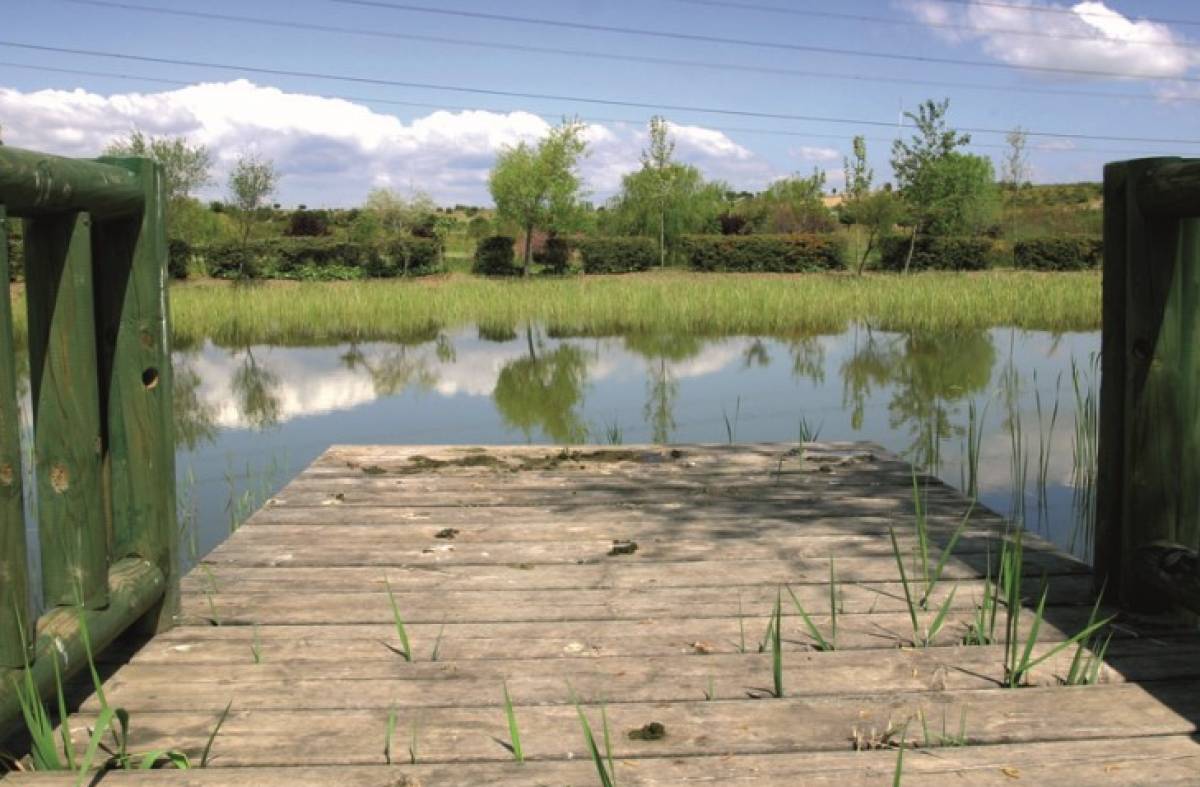 El PSOE de Pozuelo propone un Plan Integral para la mejora del Parque Forestal Adolfo Suarez