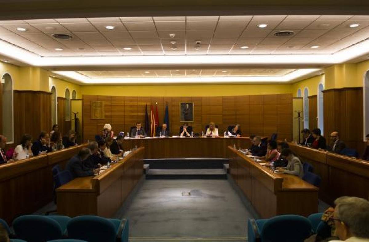 Vox Pozuelo rechaza la Declaración Institucional de apoyo a los ciudadanos de La Palma