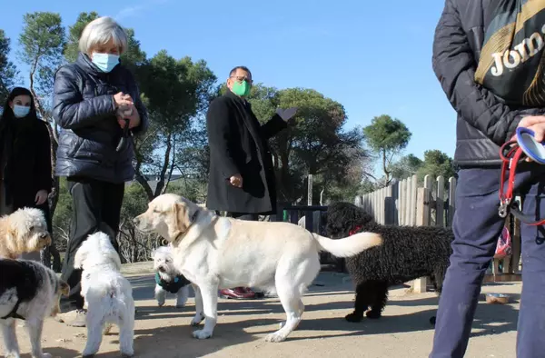 VOX Pozuelo exige la construcción del parque canino en el Cerro de los Perdigones
