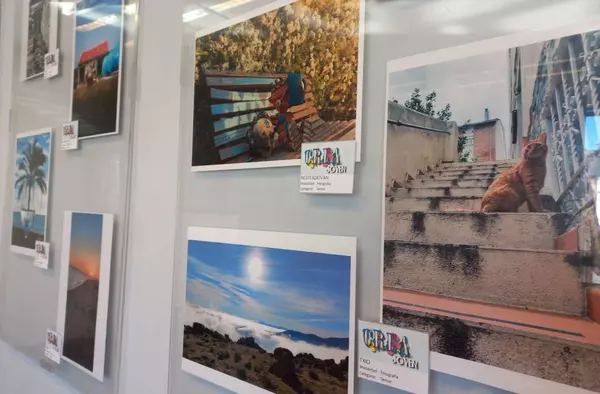 Las obras presentadas al certamen Cre@Joven se exponen en el CUBO Espacio Joven