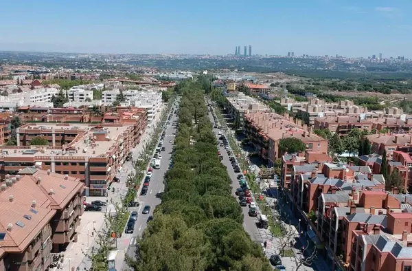 Las obras de mejora y acondicionamiento de la mediana de la Avenida de Europa comenzarán esta primavera