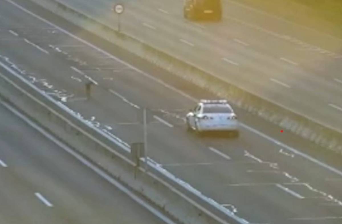 Cierran el carril bus VAO de la A6 para rescatar a un galgo