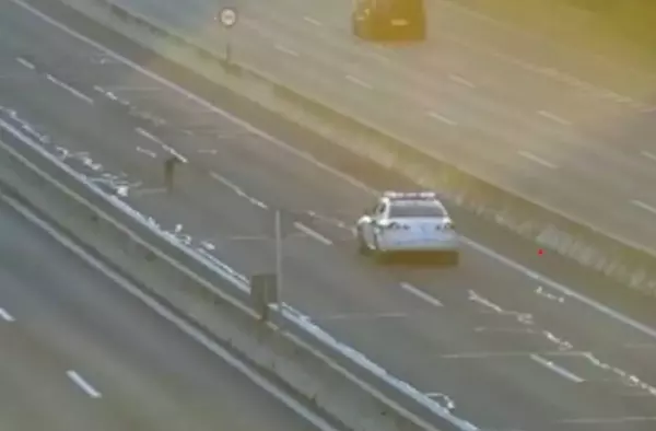 Cierran el carril bus VAO de la A6 para rescatar a un galgo