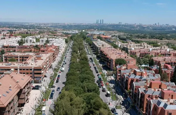 Plan para mejorar la seguridad peatonal en el entorno de la Avenida de Europa de Pozuelo
