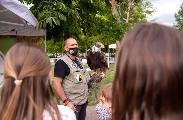 Exhibición de aves rapaces, talleres temáticos o teatro para celebrar el Día Mundial del Medio Ambiente en Pozuelo