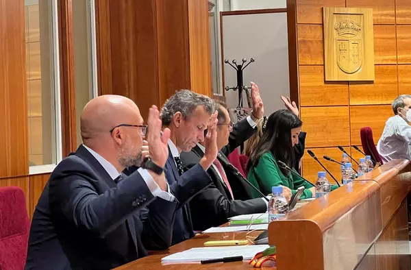 VOX Pozuelo se queda solo en la defensa de las inversiones en urbanizaciones, áreas residenciales y colonias