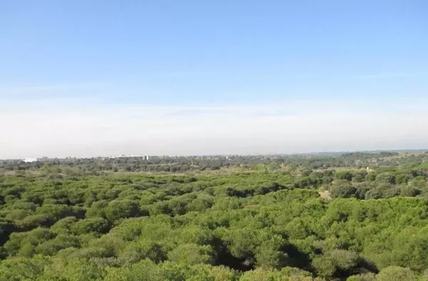 El TSJ de Madrid admite el recurso de Ecologistas en Acción contra la construcción de 1050 viviendas en Pozuelo