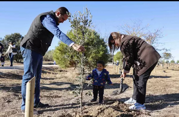 'El Bosque de la Vida' toma forma con los 300 árboles plantados por cada niño nacido en Pozuelo en 2021 y 2022