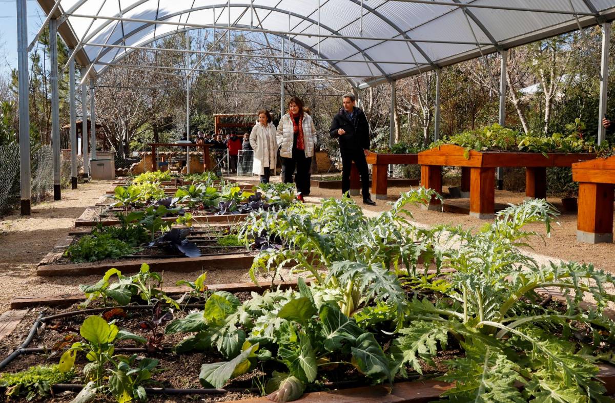 El Aula de Educación Ambiental de Pozuelo estrena sus nuevos invernaderos tras las mejoras realizadas por el Ayuntamiento