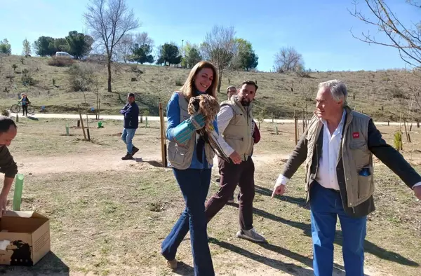 La CAM acondiciona los arroyos Meaques y Valchico que conectan con el corredor medioambiental Arco Verde