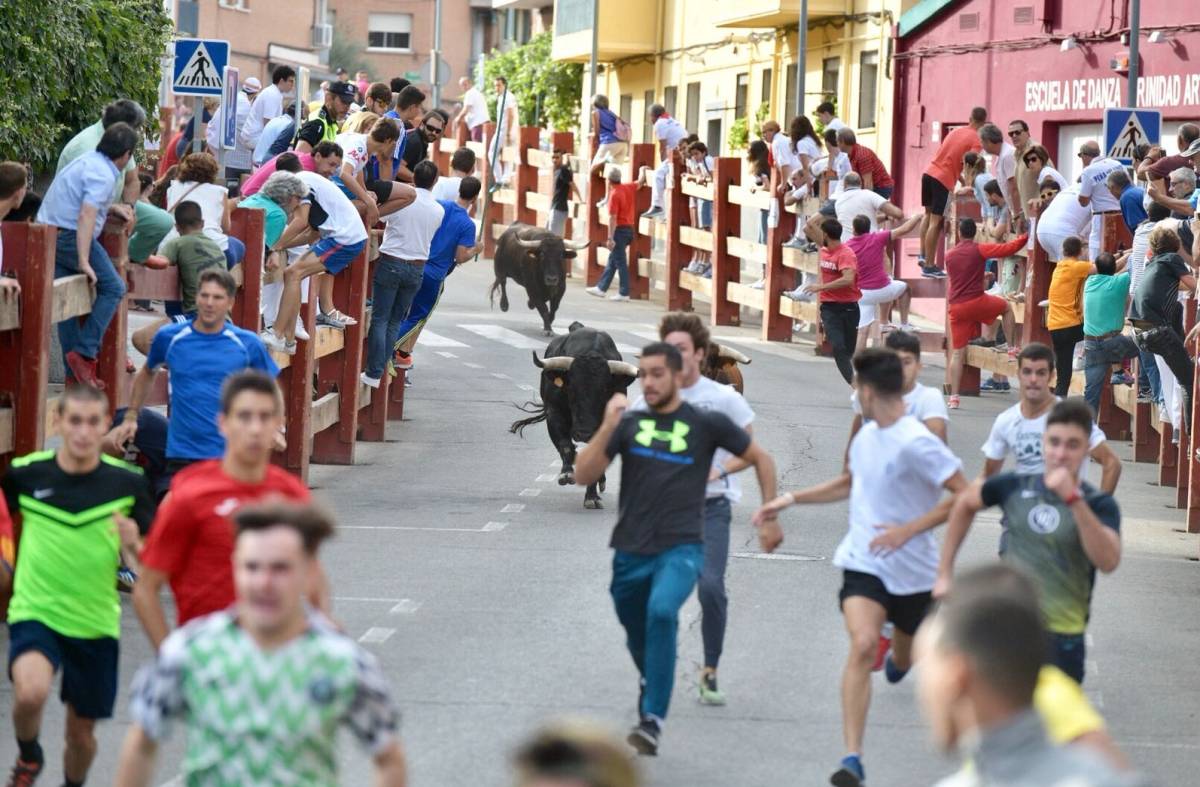Programa de Fiestas de Pozuelo hoy: Jueves 7 de Septiembre
