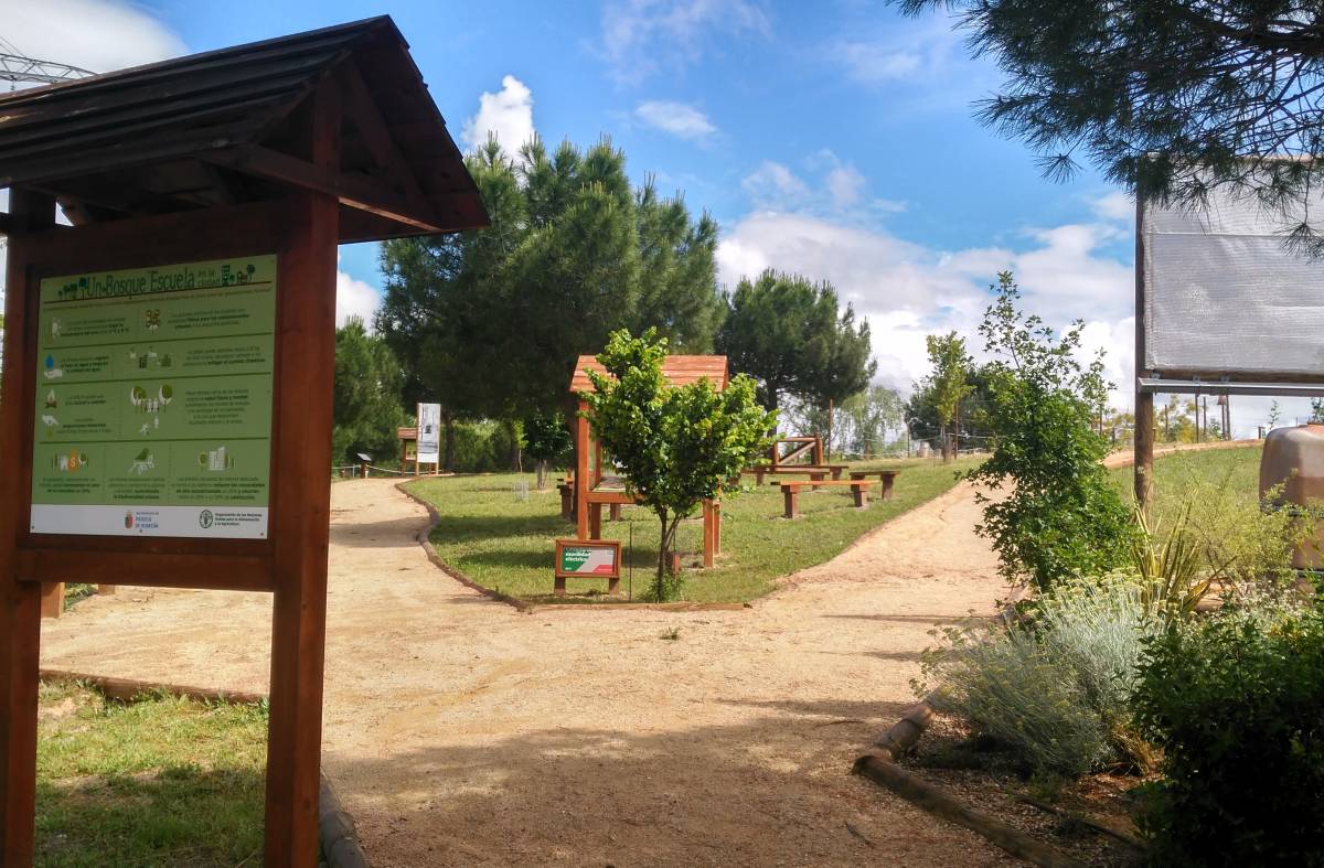 El otoño llega al Aula de Educación Ambiental de Pozuelo con actividades al aire libre para las familias