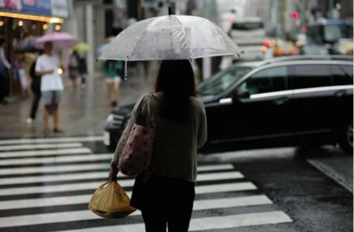 Cuarenta propuestas del comercio local para aprovechar los Días de Lluvia en Pozuelo