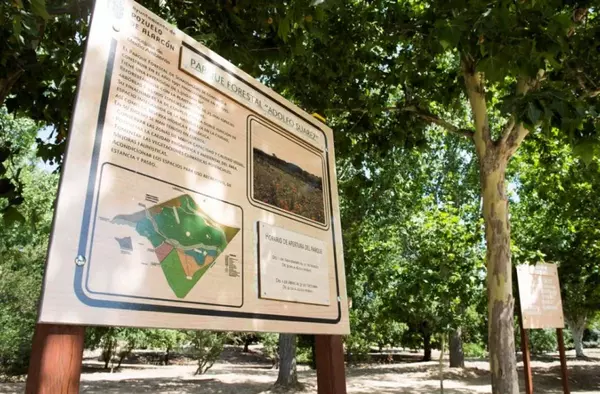 Pozuelo cierra parques como medida de precaución debido a los fuertes vientos