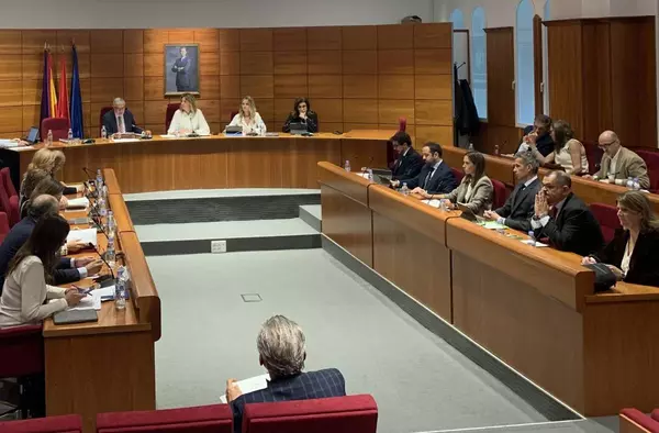 Rechazada la propuesta de Vox Pozuelo de crear una comisión para aclarar las cuentas del Ayuntamiento